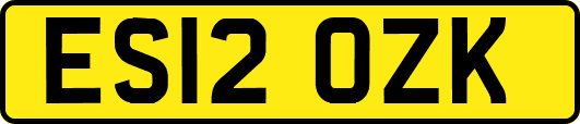 ES12OZK