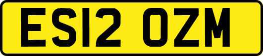 ES12OZM