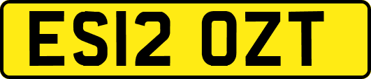 ES12OZT