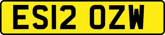 ES12OZW