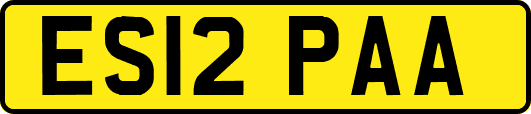 ES12PAA