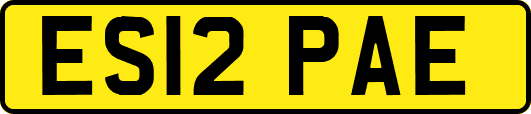 ES12PAE