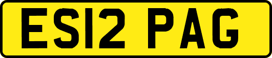 ES12PAG