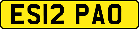 ES12PAO