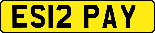 ES12PAY