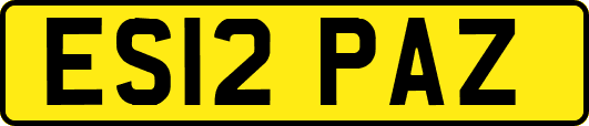 ES12PAZ