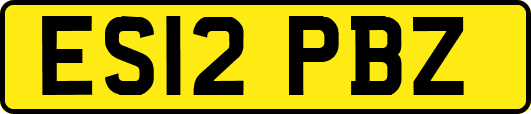 ES12PBZ