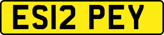 ES12PEY