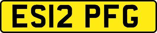 ES12PFG