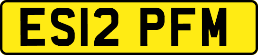 ES12PFM
