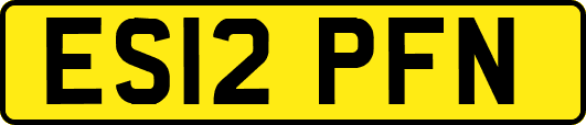 ES12PFN