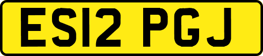ES12PGJ