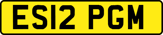 ES12PGM