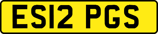 ES12PGS