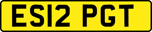 ES12PGT