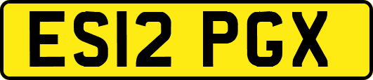 ES12PGX