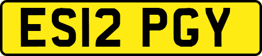 ES12PGY