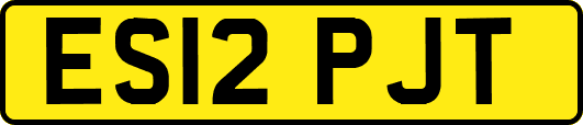 ES12PJT