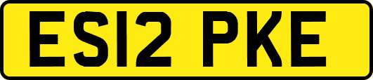 ES12PKE