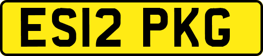 ES12PKG