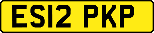ES12PKP