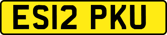 ES12PKU