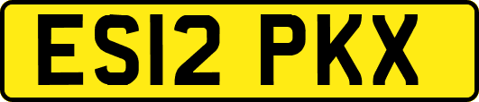 ES12PKX