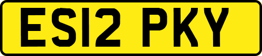 ES12PKY