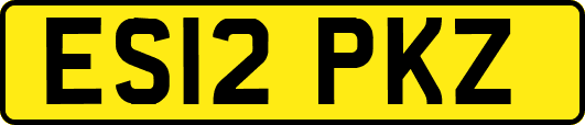 ES12PKZ