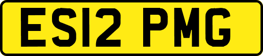 ES12PMG