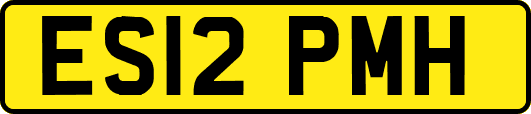 ES12PMH