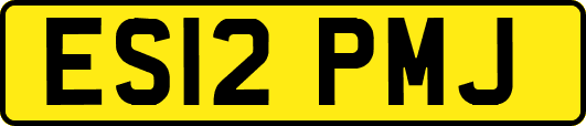 ES12PMJ