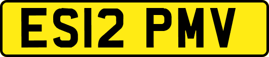 ES12PMV