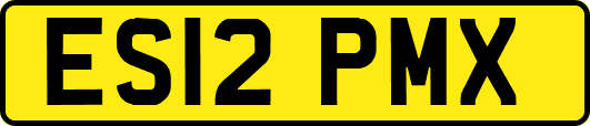 ES12PMX