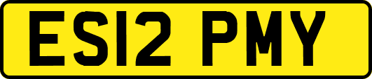 ES12PMY
