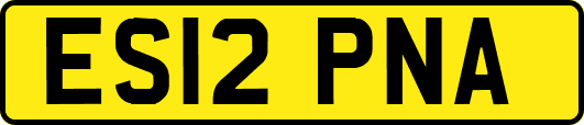 ES12PNA