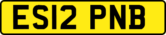 ES12PNB