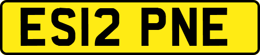 ES12PNE