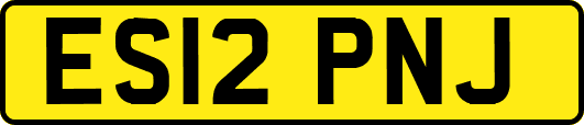 ES12PNJ