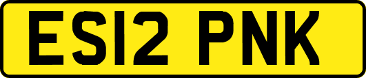 ES12PNK