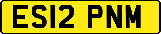 ES12PNM