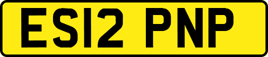 ES12PNP
