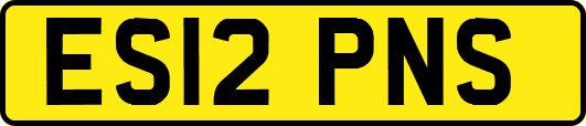 ES12PNS
