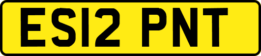 ES12PNT