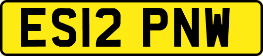 ES12PNW
