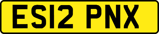 ES12PNX