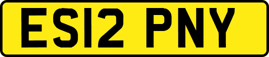 ES12PNY