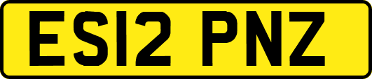 ES12PNZ