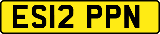 ES12PPN