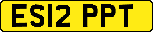 ES12PPT